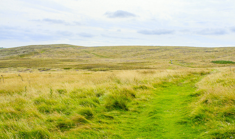 Abney Moor Abney Moor